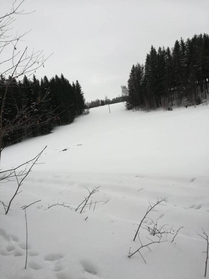 Chaloupka U Lisaka Villa Snezne  Eksteriør bilde